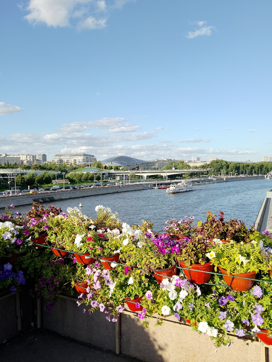 Вид на парк Зарядье, реку Москва с Большого Москворецкого моста, фото автора