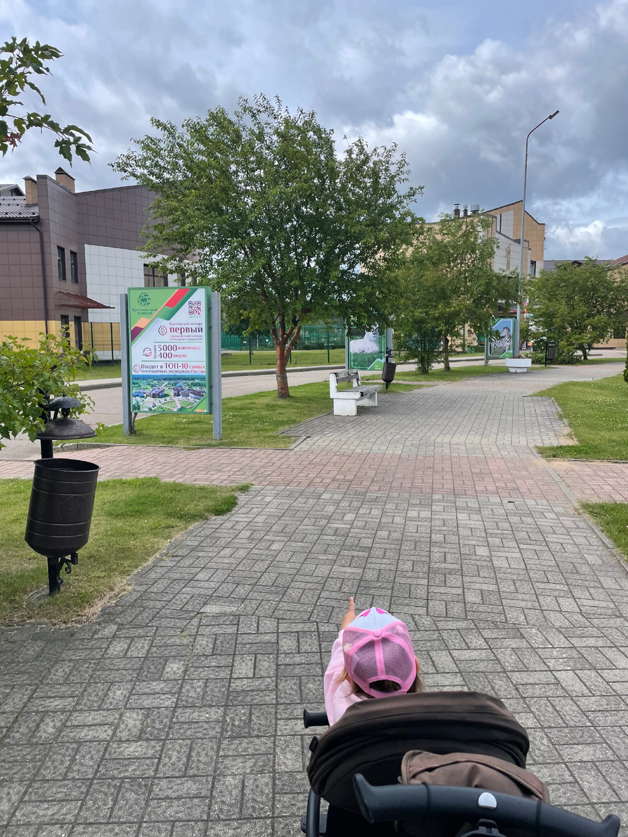 Свежее Фото автора канала 