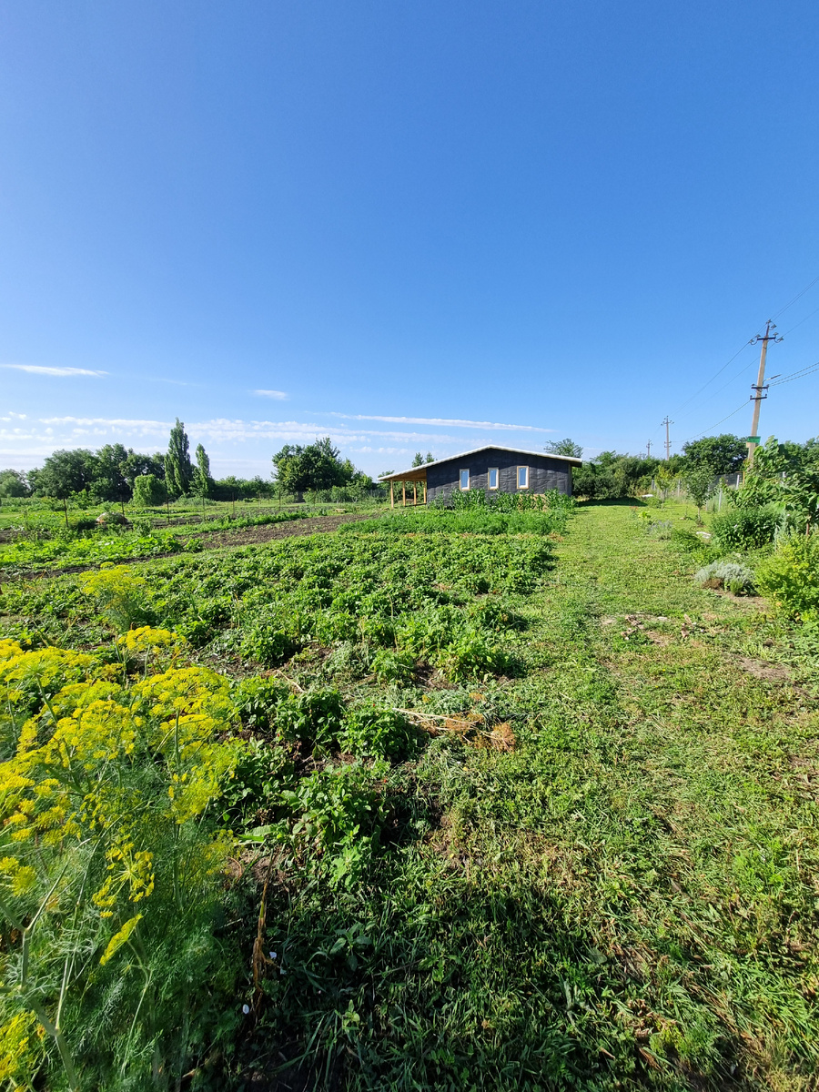 Соррррнякииии