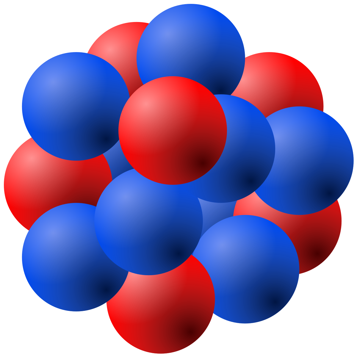 https://upload.wikimedia.org/wikipedia/commons/thumb/f/f0/Nucleus_drawing.svg/1200px-Nucleus_drawing.svg.png