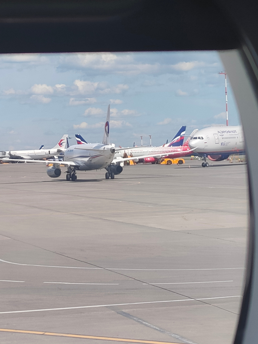 Фото автора.