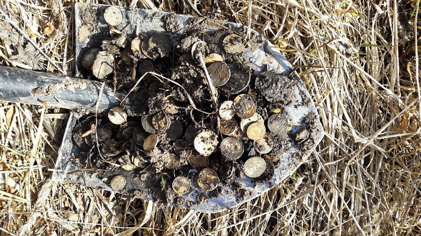 Антиквариат от кладоискателей. 