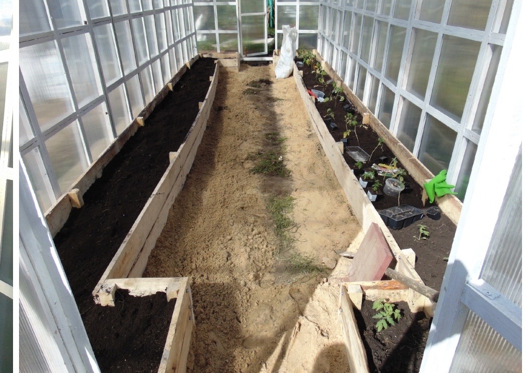 Сначала сделали грядки по бокам