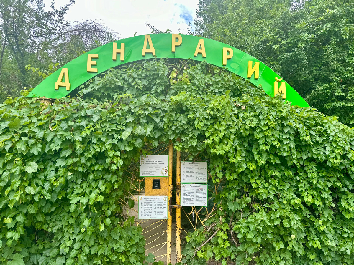 Вход в Дендрарий. Фото автора 