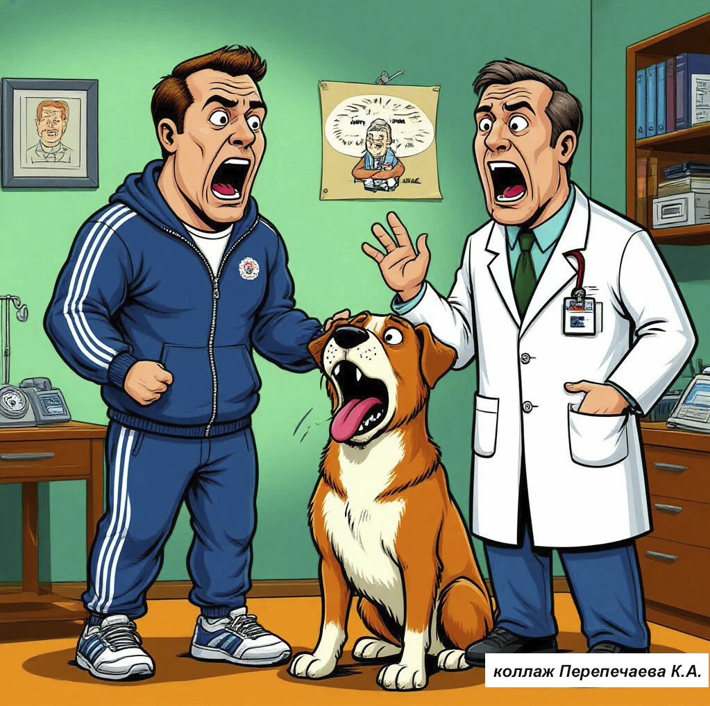 Простите, конечно, но вы просто т*пой!!! - А вы себя-то видели...??.