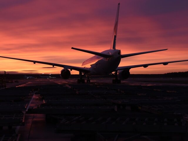    Фото: Москва 24/Никита Симонов