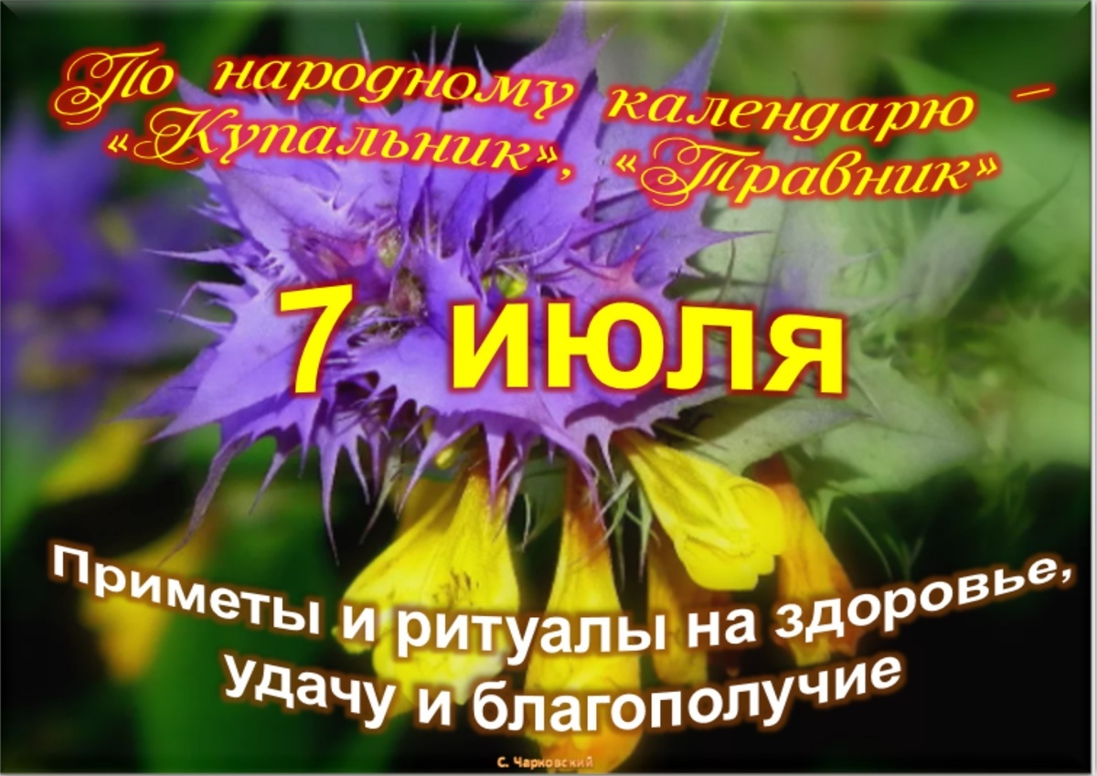 Встречаем новый день