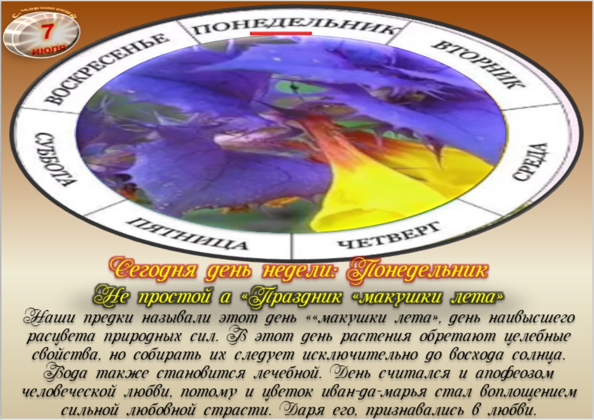 Встречаем новый день