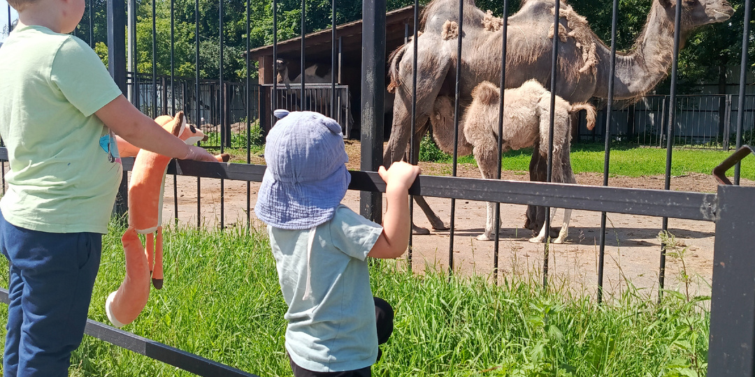 Семейный гид по Иваново: топ-5 мест, куда сходить с детьми, если у вас всего 2 дня