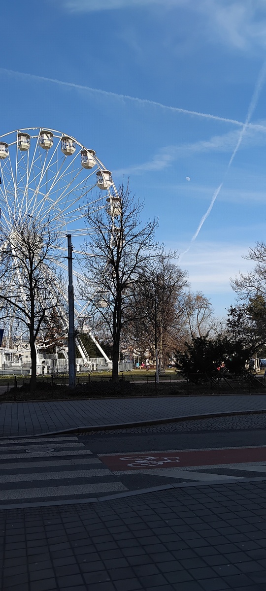 Личное фото от автора 