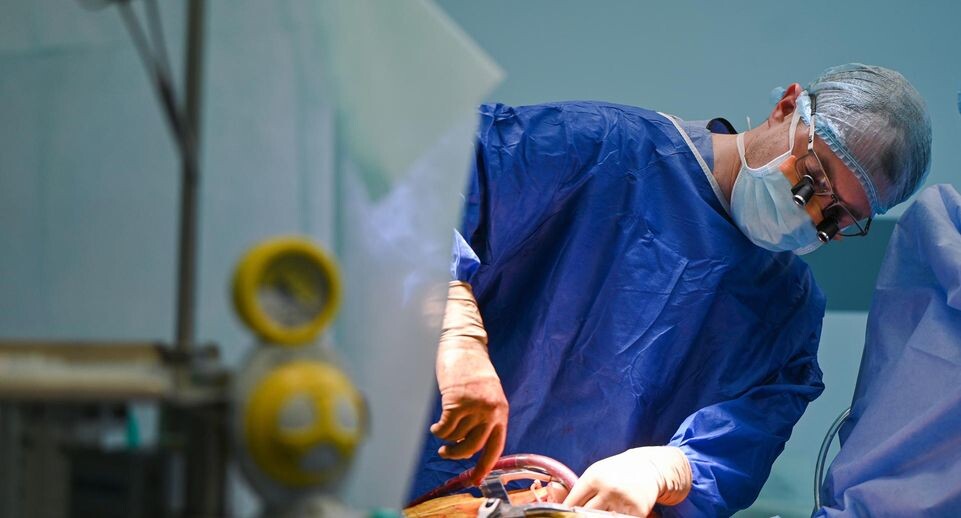    Anastasiia Smolienko/Keystone Press Agency / www.globallookpress.com