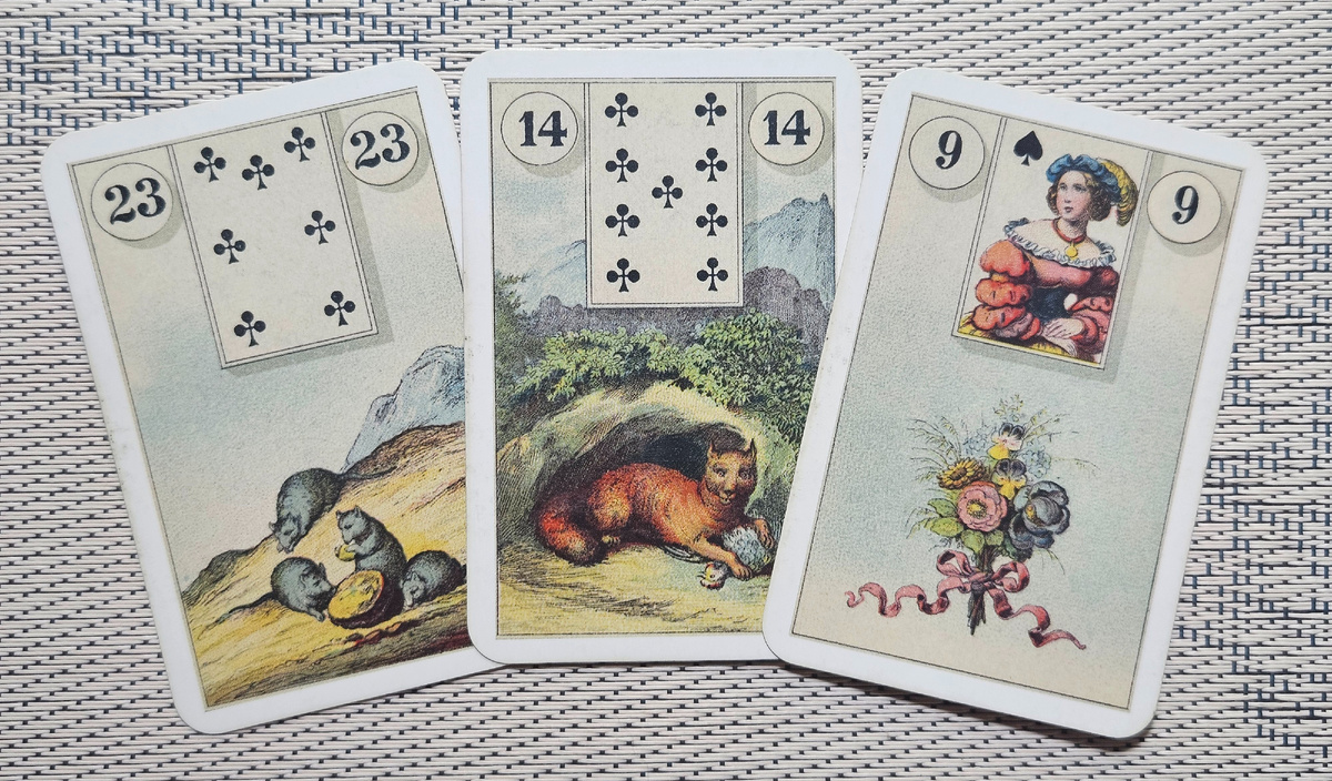 Общая энергия дня