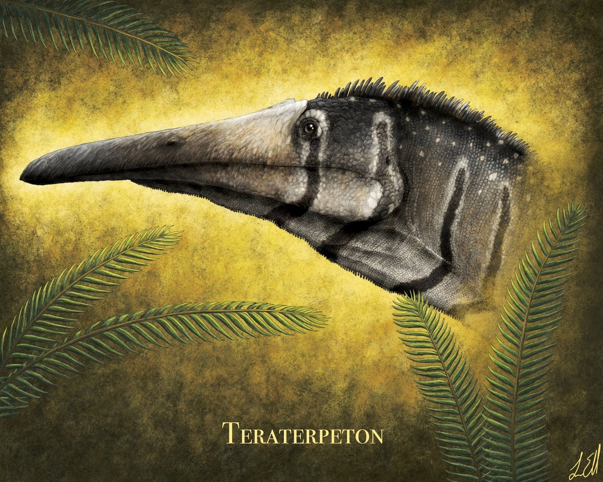 Тератерпетон.