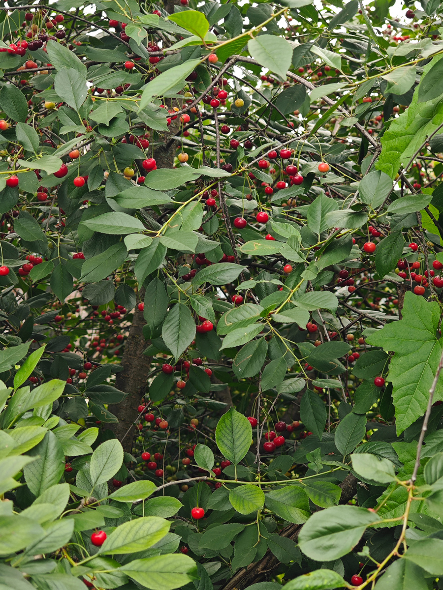 Фото автора канала 