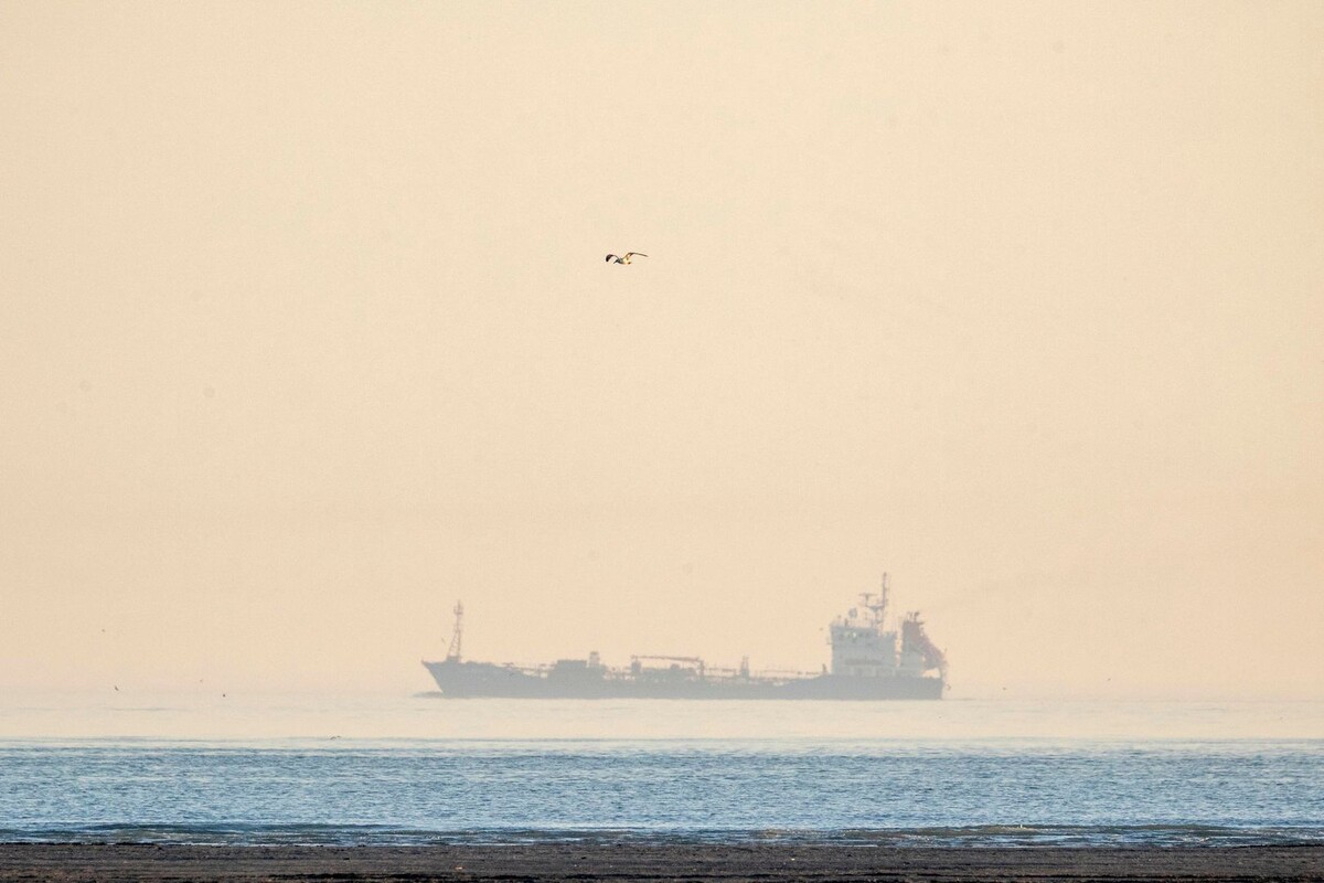     / Источник: © Global Look Press