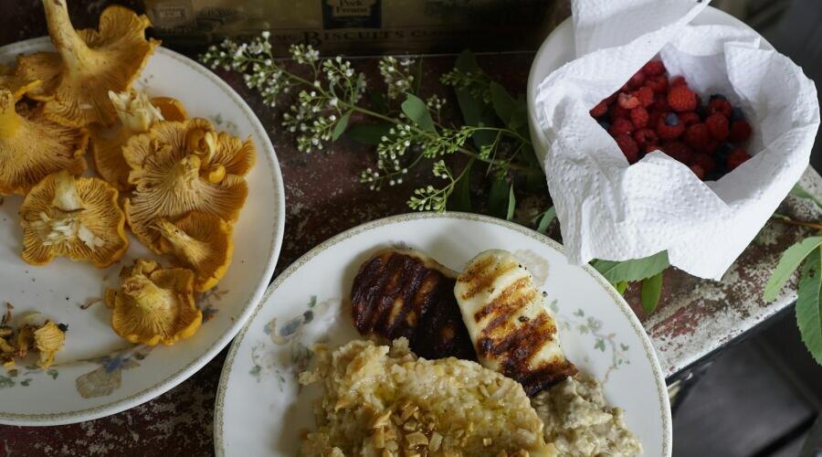     Фото: Green Prophet on Unsplash