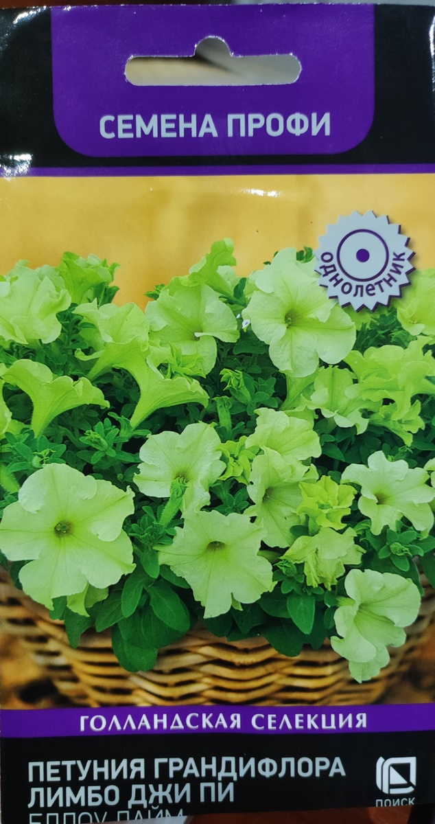 Фото автора, пакет семян петунии грандифлора лимбо джи пи еллоу лайм, июль 2025 года