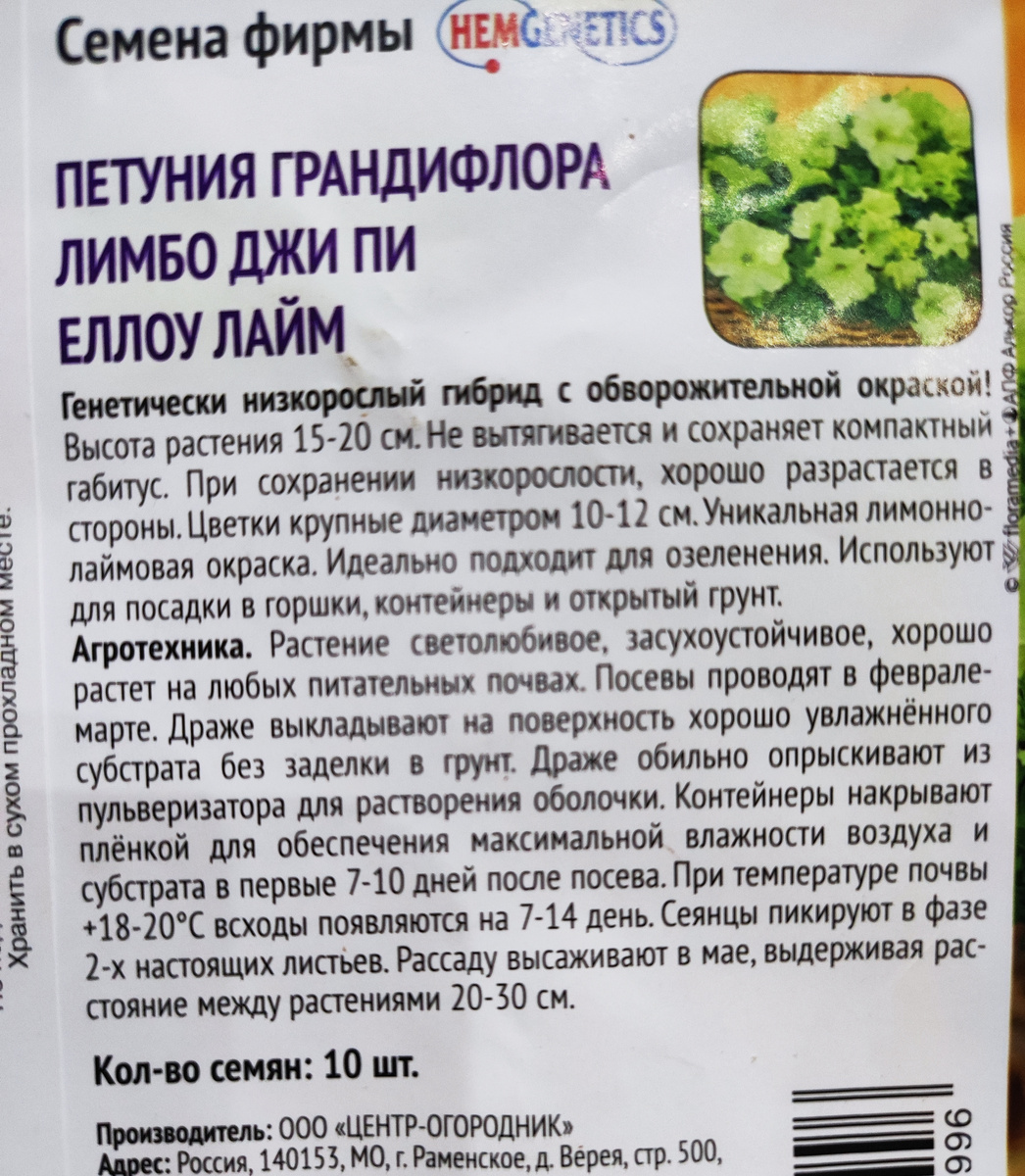 Фото автора, пакет семян петунии грандифлора лимбо джи пи еллоу лайм, июль 2025 года