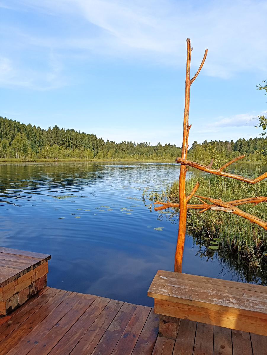 Торфяное озеро. Фото автора