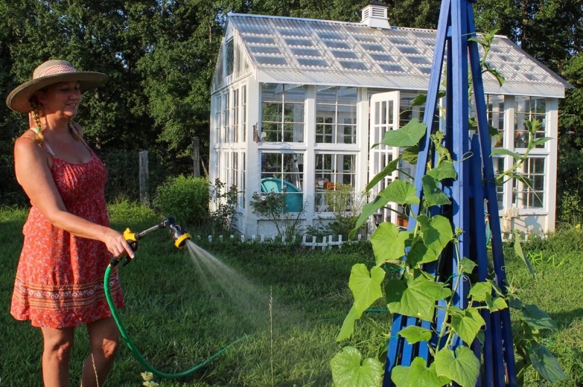    Жара добьет.