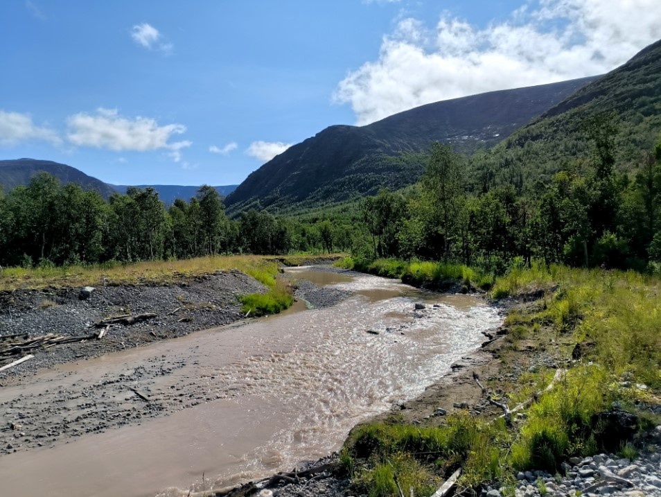    Фото: Maksim Konstantinov/Globallookpress