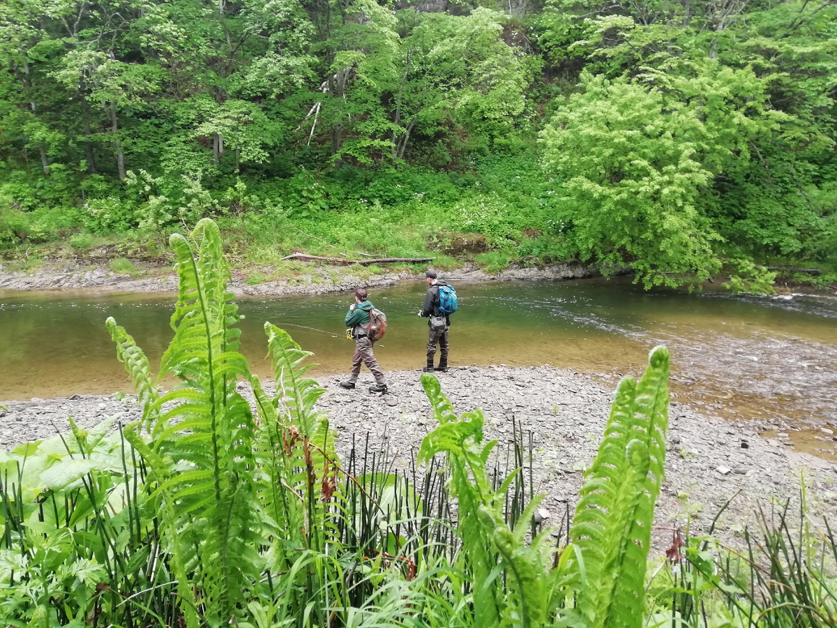 Ловля симы это прежде всего красиво!