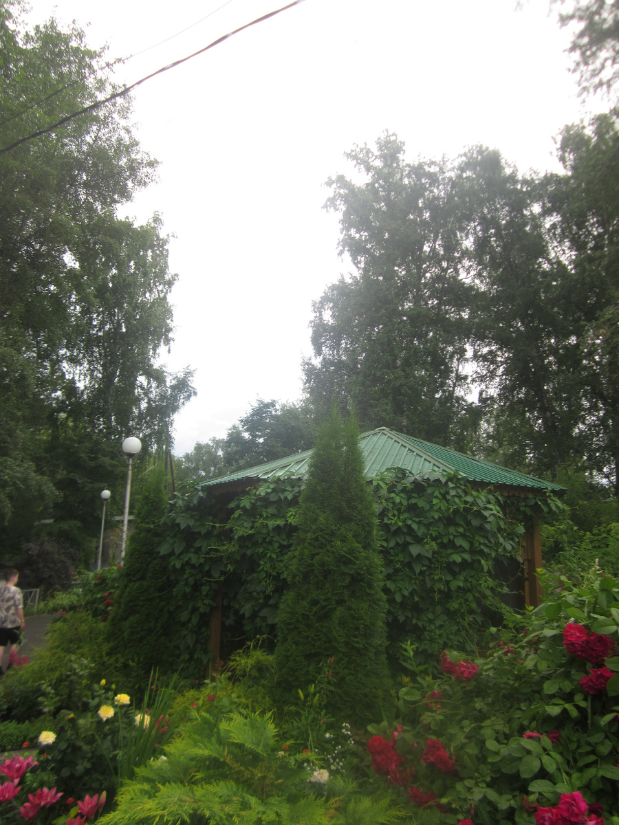 Тюмень в начале июля , мое фото