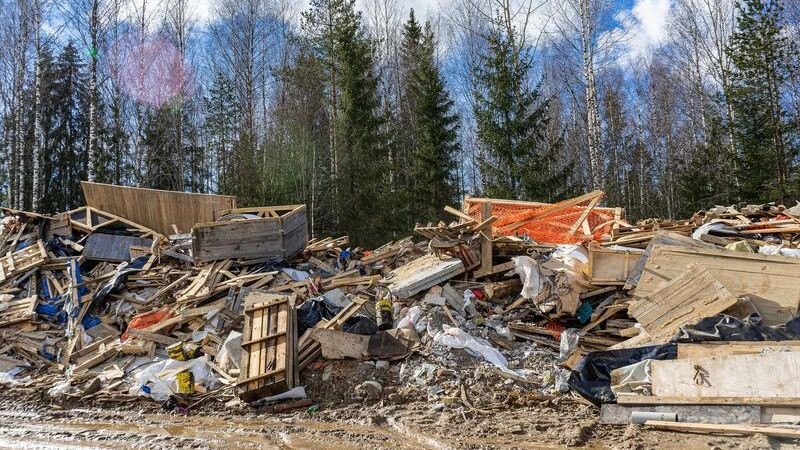    Фото: Pavel Vatsura / Shutterstock / Fotodom