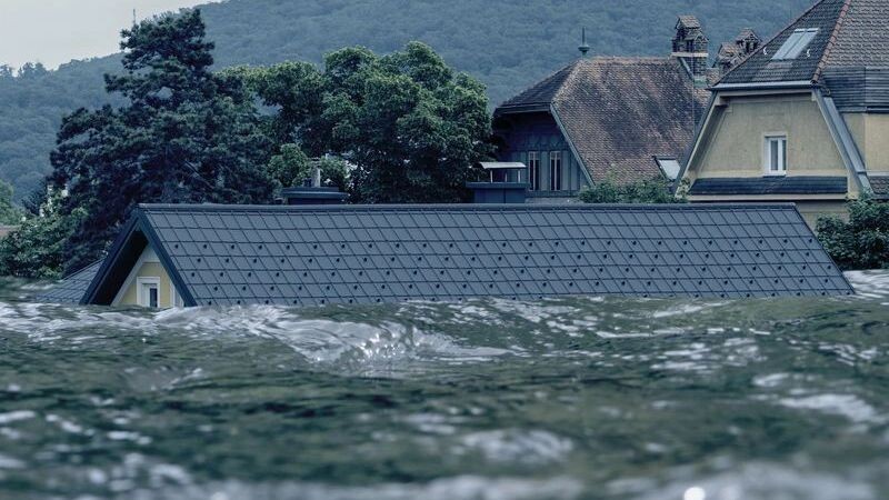    Фото: Anelo / Shutterstock / Fotodom