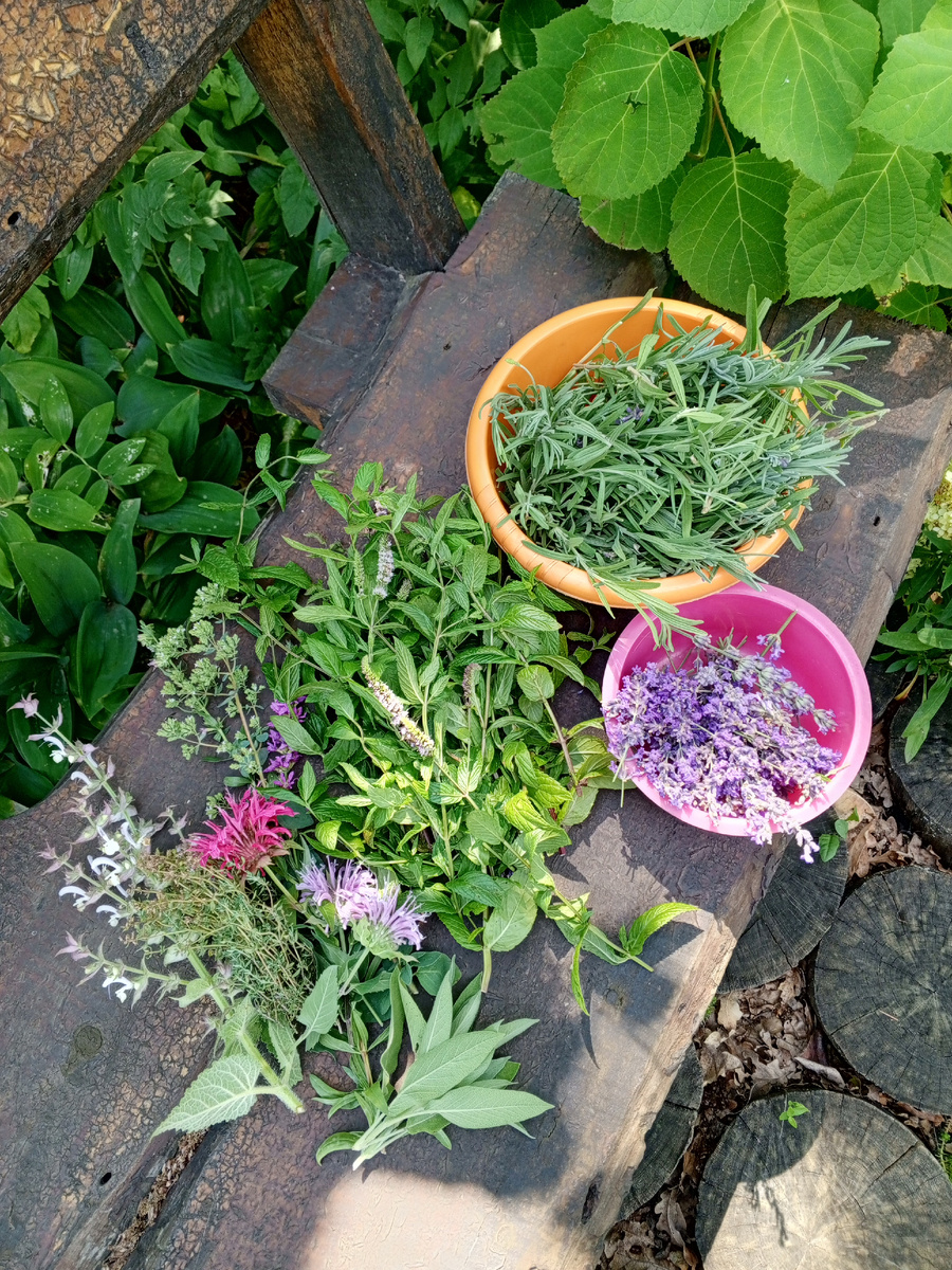 Собираю травы