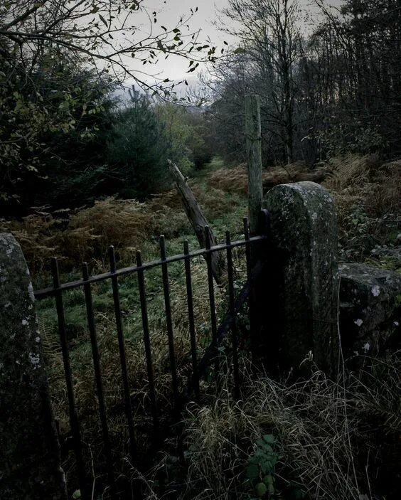 Изображение взято из открытых источников интернета. 