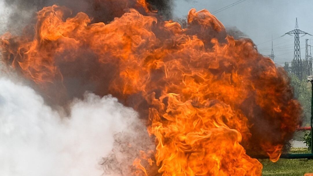     Источник: 1MI