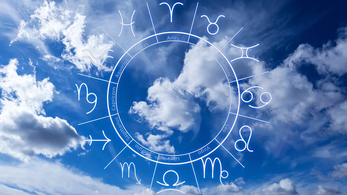    Фото: vm.ru Полина Белоусова