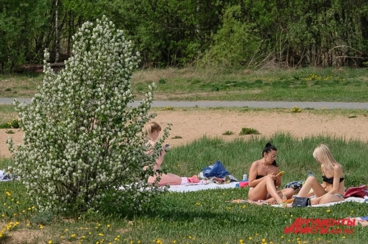    Тридцатиградусная жара вернётся в Пермский край на этой неделе