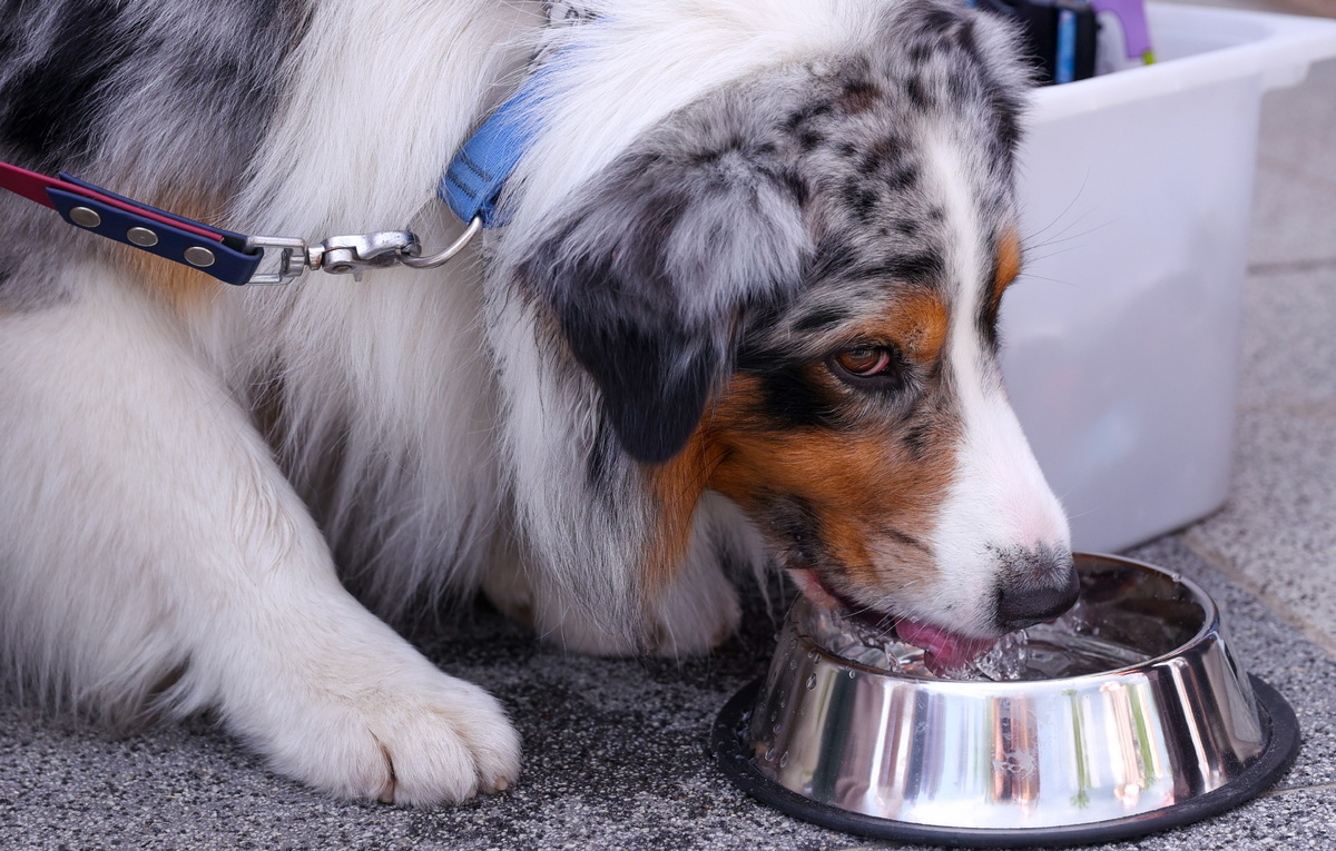 Валерия Калугина/ТАСС