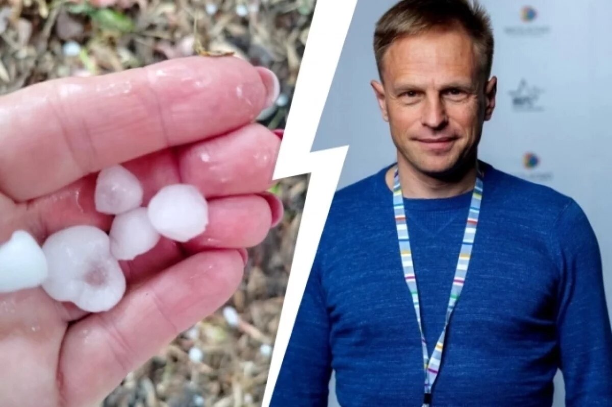    Ведущий научный сотрудник лаборатории биогеохимии экосистем, проректор СФУ Сергей Верховец