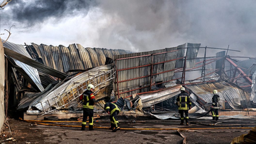    Nina Liashonok/Globallookpress