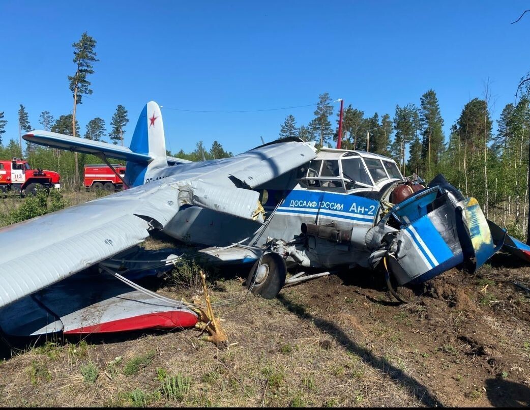    Фото: Telegram-канал "Волонтёры Забайкалья"