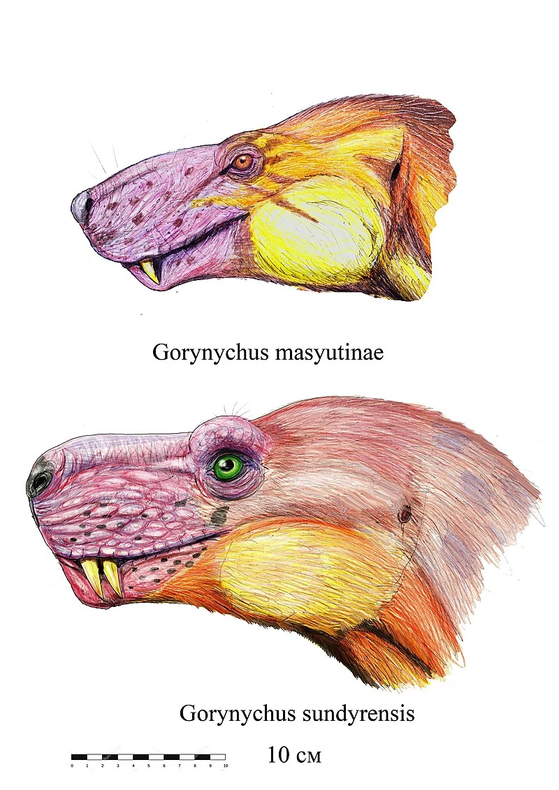 Реконструкции голов двух видов горыныча от Дмитрия Богданова