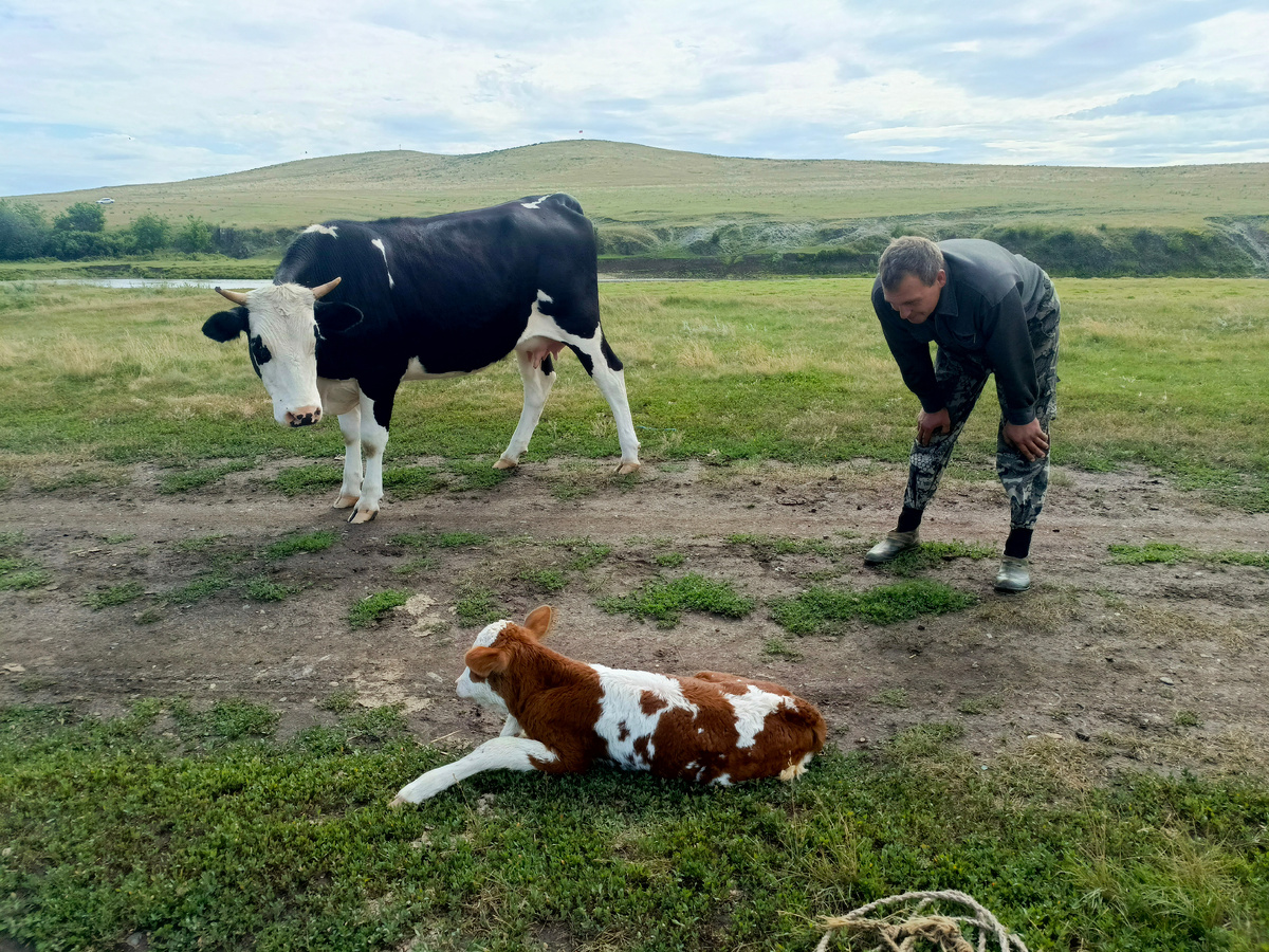 Когда закончился бензин. ⛽😁