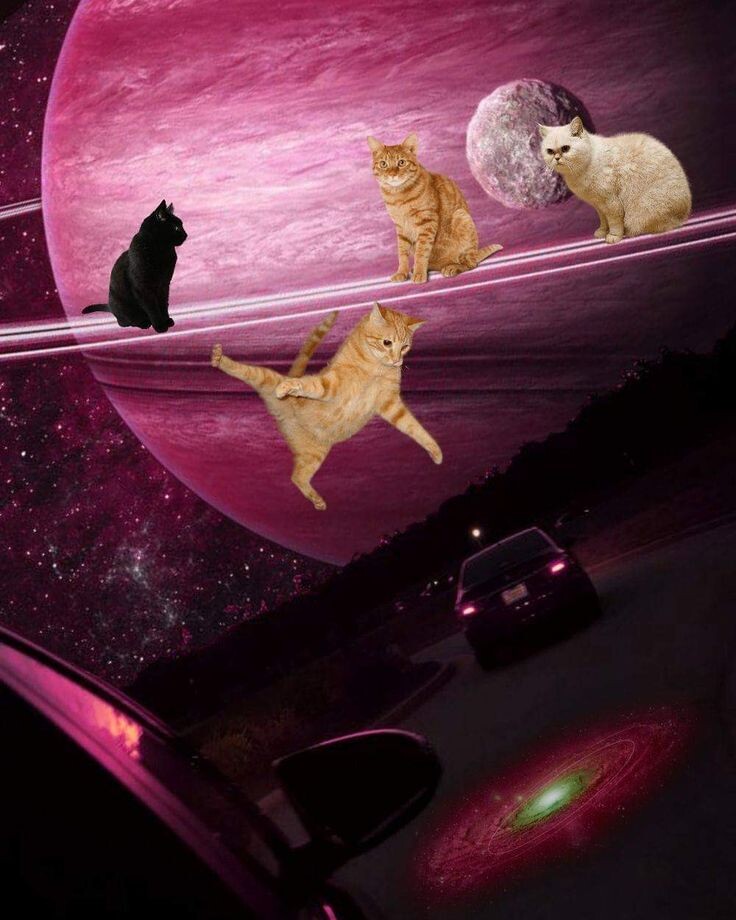 Картинка из свободного доступа 