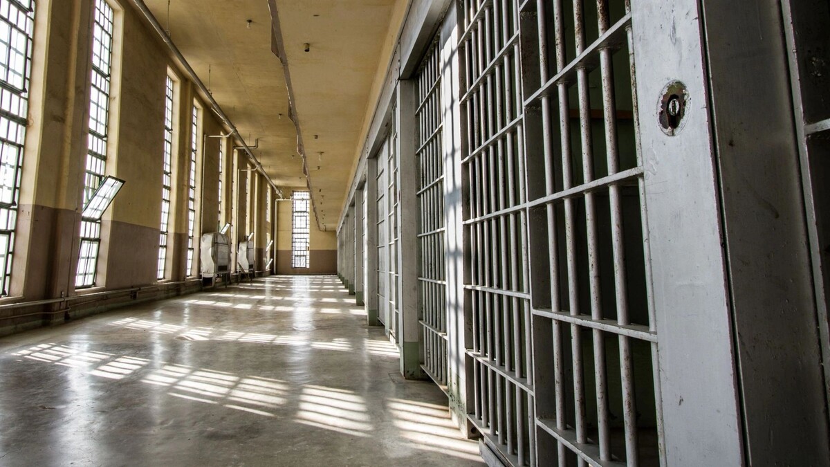    Фото: txking/Shutterstock/Fotodom