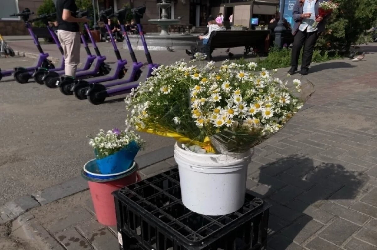    Любит, не любит: на Коларовском тракте под Томском расцвело поле ромашек