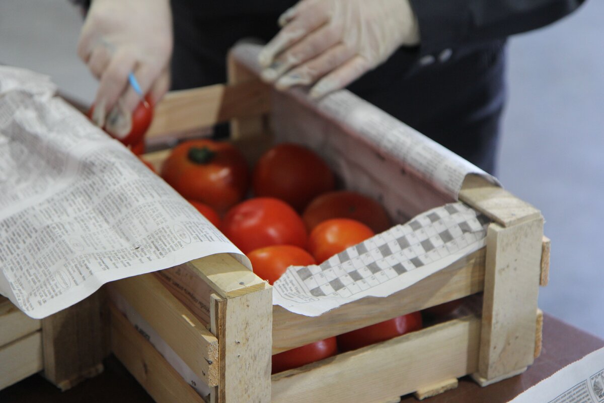    Фото: Россельхознадзор по Красноярскому краю