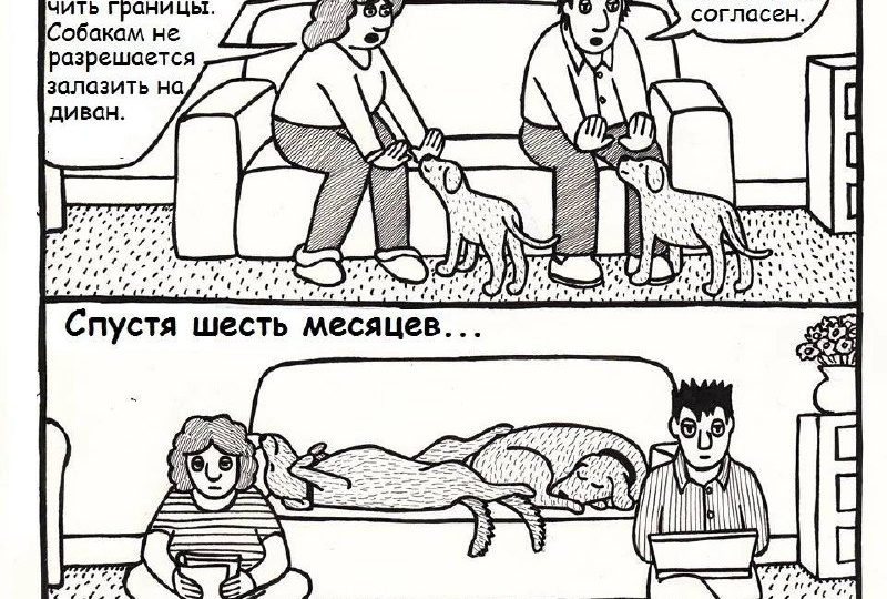 Жду ваши комментарии! Как у вас было