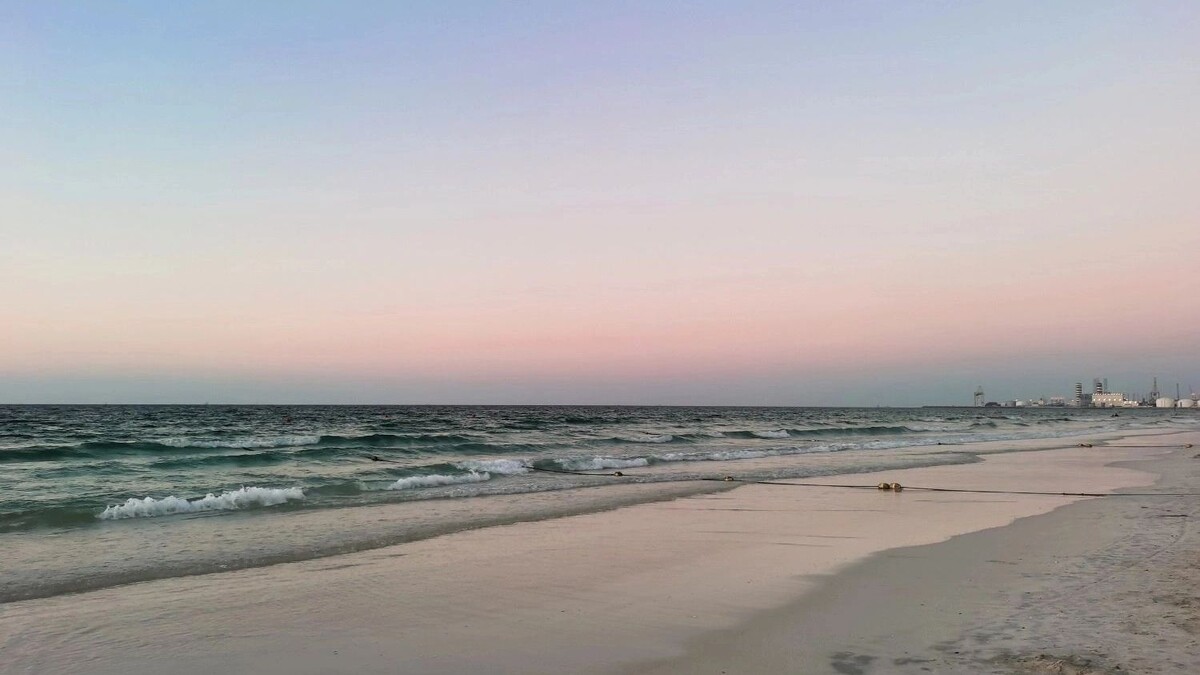     Автор: Эмилия Губарева Источник: atas.info