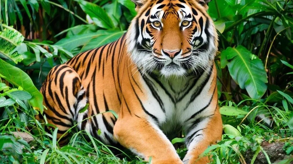    Изображение сгенерировано с помощью ИИ.