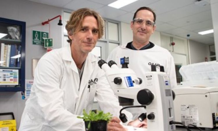    Фото: Megan Pope