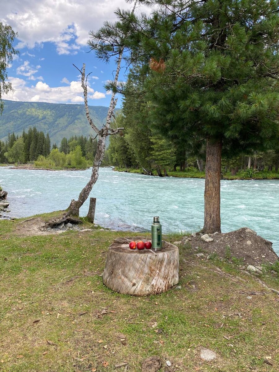 Завтрак туриста в не модном ресторане без звезд.