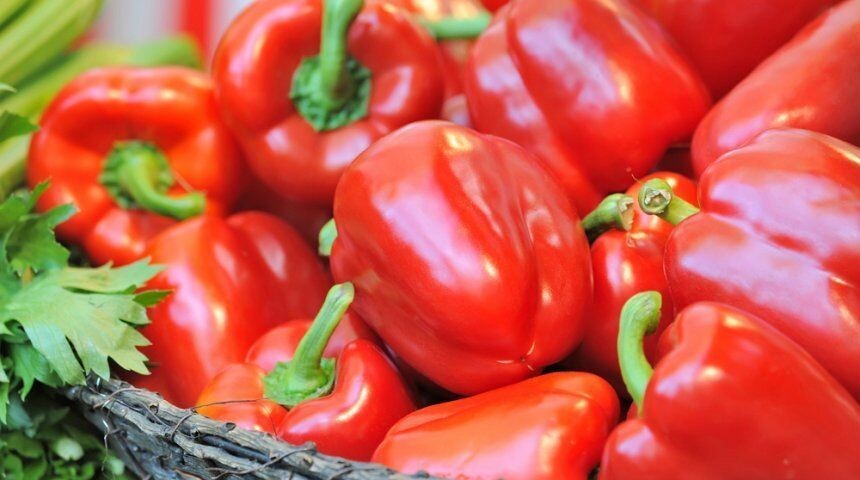 Этот старый способ подкормки плодоносящих кустов перца помогает вдвое ускорить вызревание плодов и улучшить их качество